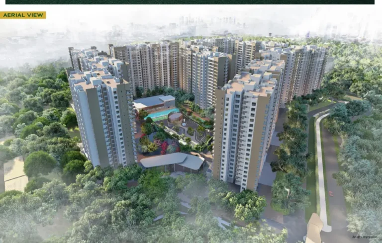 Evergreen Prestige Raintree
