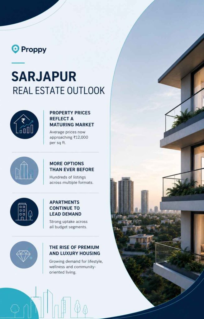 Sarjapur Real Estate Outlook